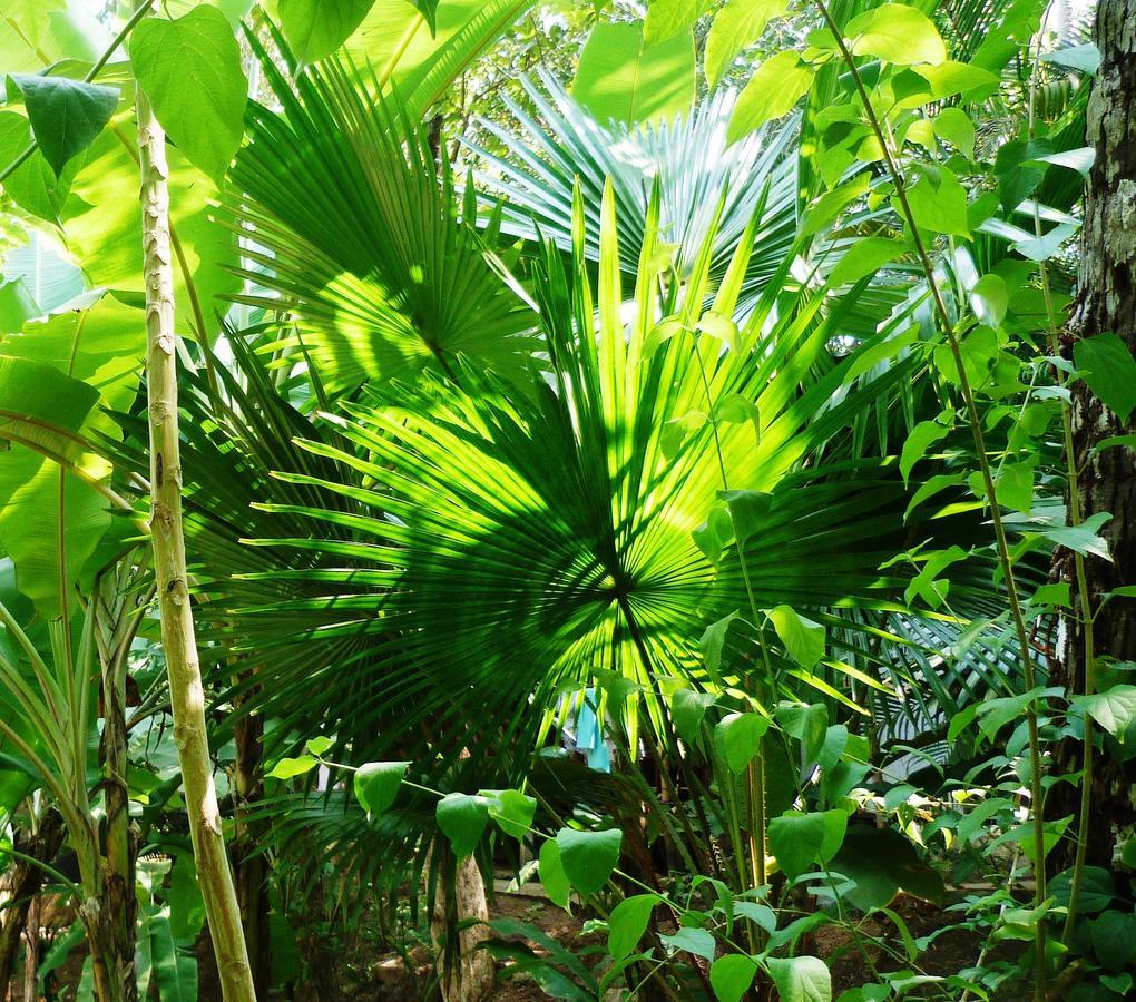 Secret Garden Resort Patnem Beach Exterior foto